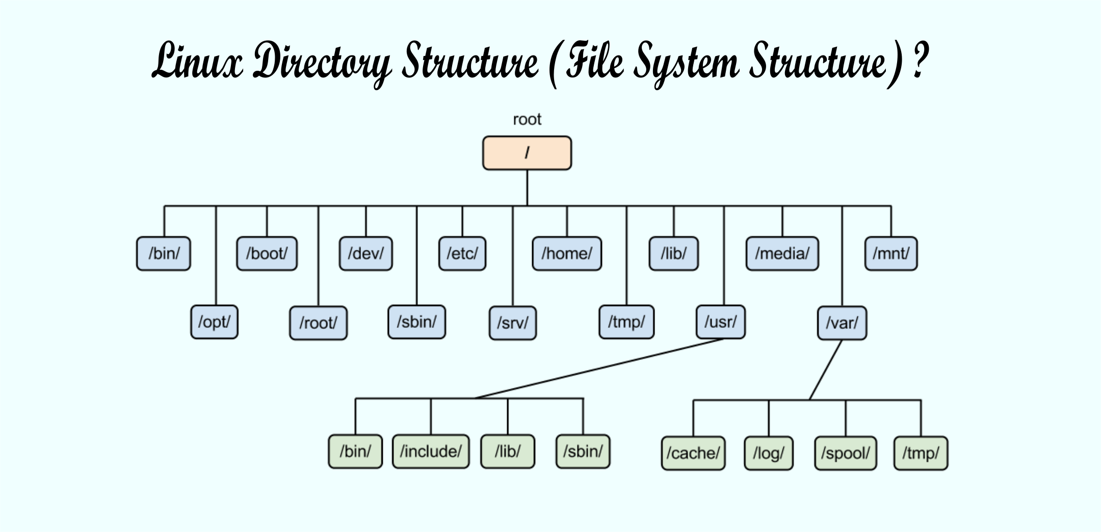 (File System Structure)